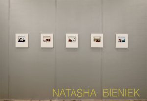 Natasha Bieniek installed at Sydney Contemporary 2015