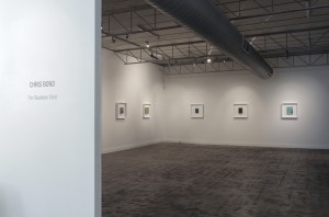 The Skeleton Field (installation view), 2012