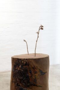 OLIVIA CHIN