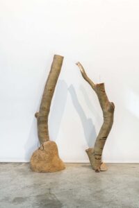 OLIVIA CHIN