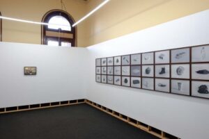 EZZ MONEM